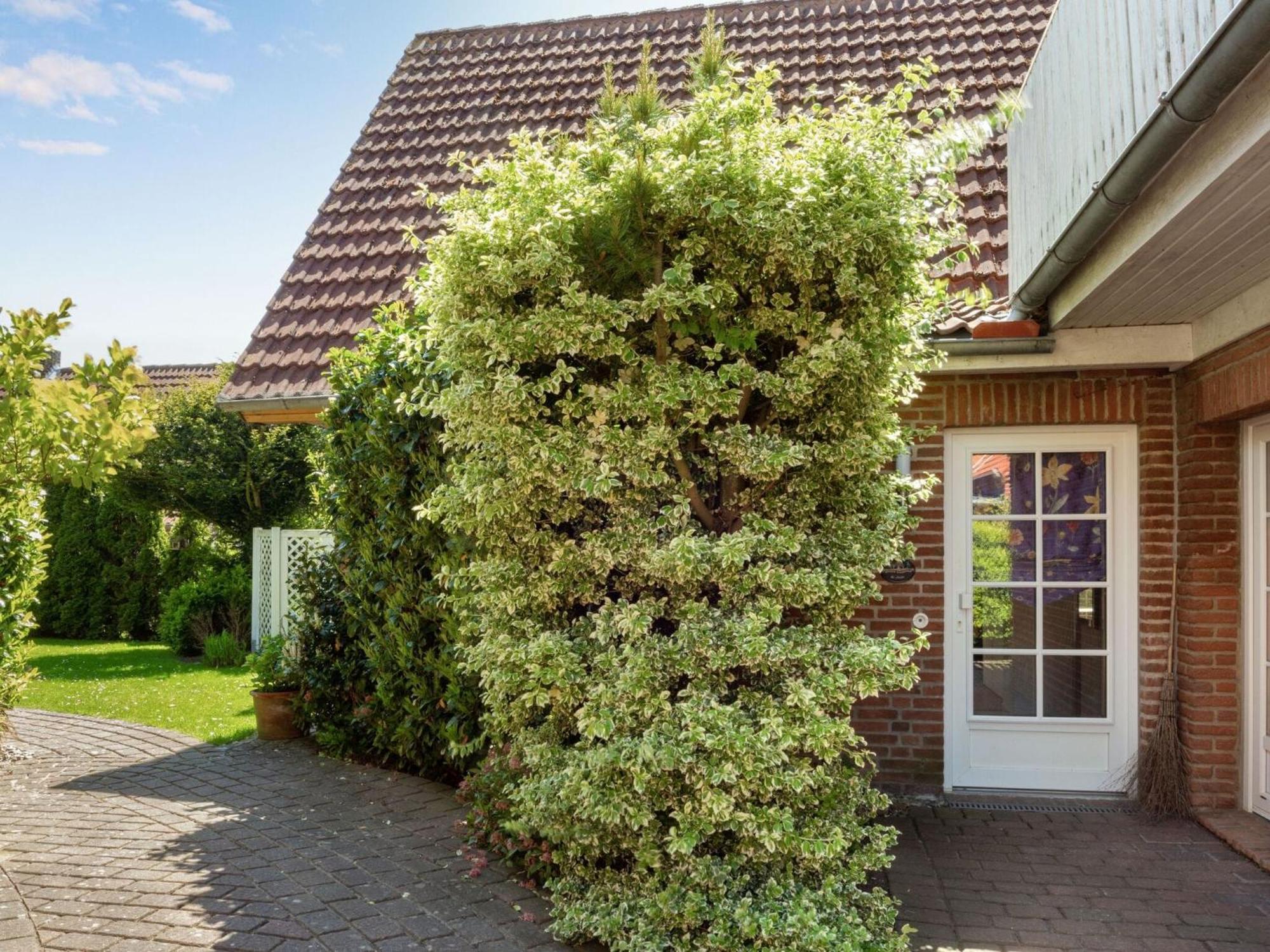 Dannau Enticing Holiday Home In Oldenburg With Garden Near Sea מראה חיצוני תמונה